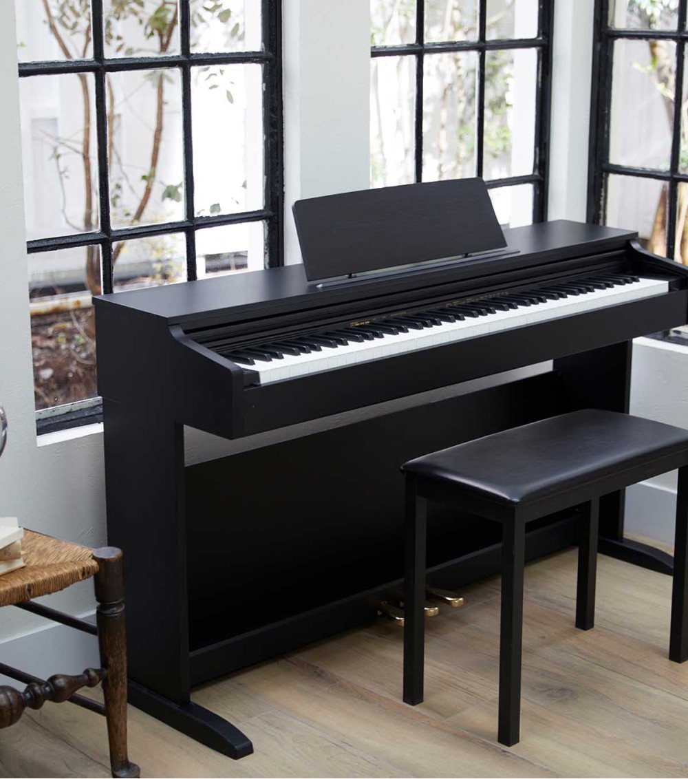 AP-270BK
