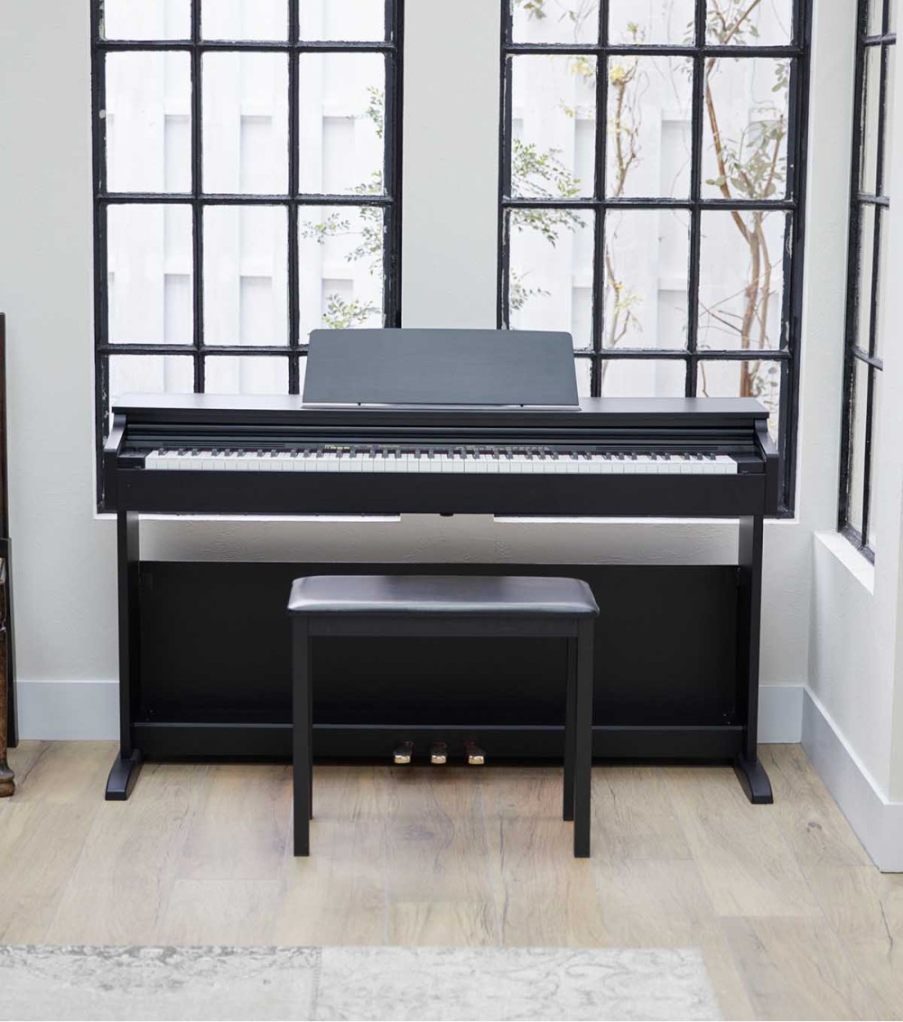 AP-270BK