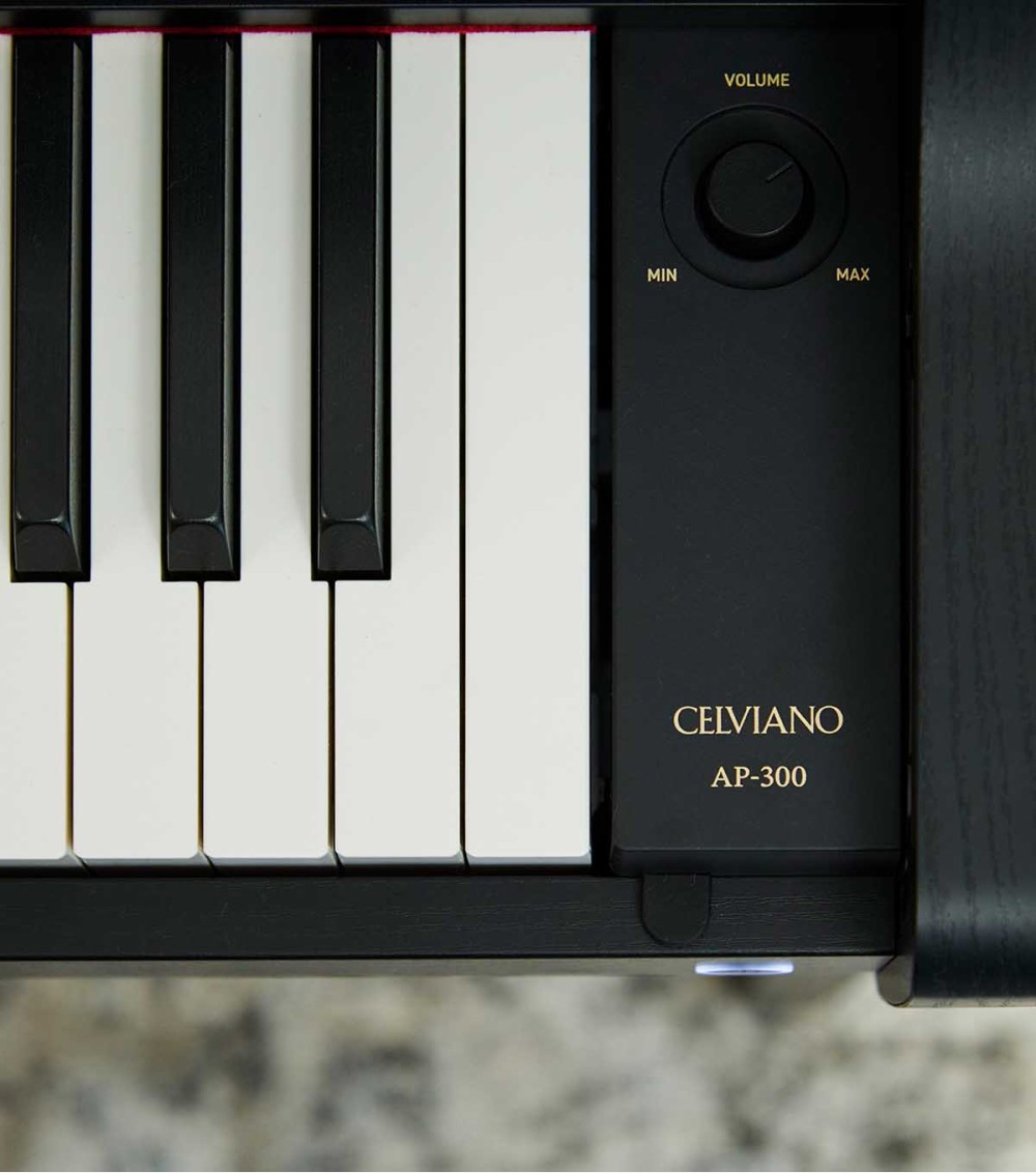 AP-300BKC7