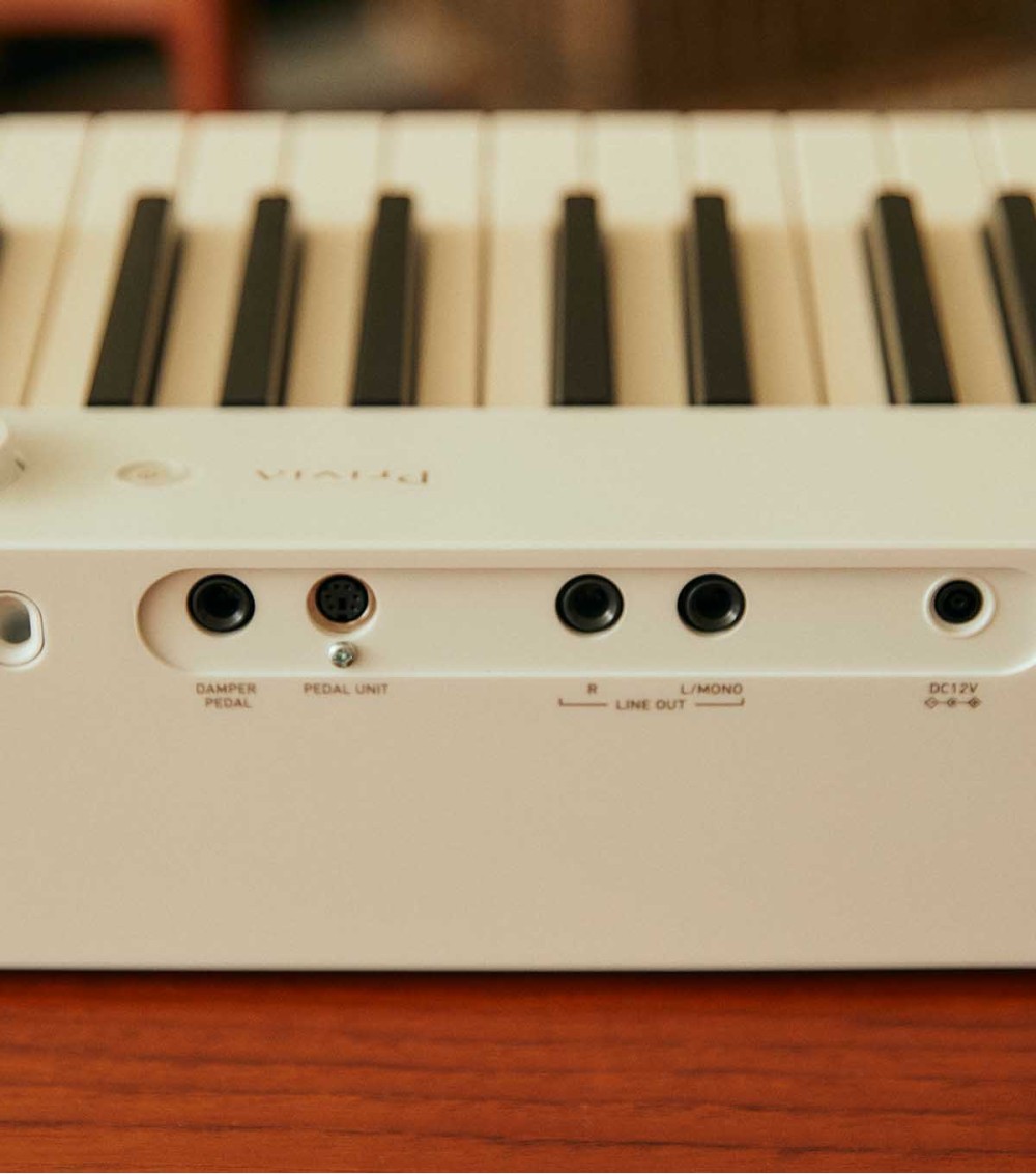 PX-S1100WEC7