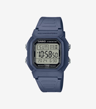 W-800H-2AVES